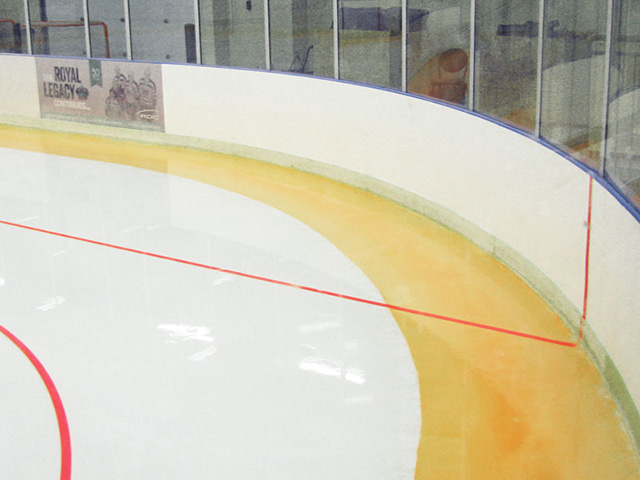 Hockey Rink Paint